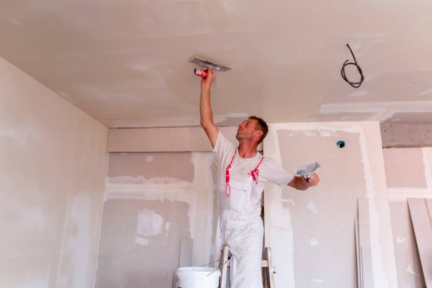 Best Ceiling Drywall Installation  in Hillandale, MD